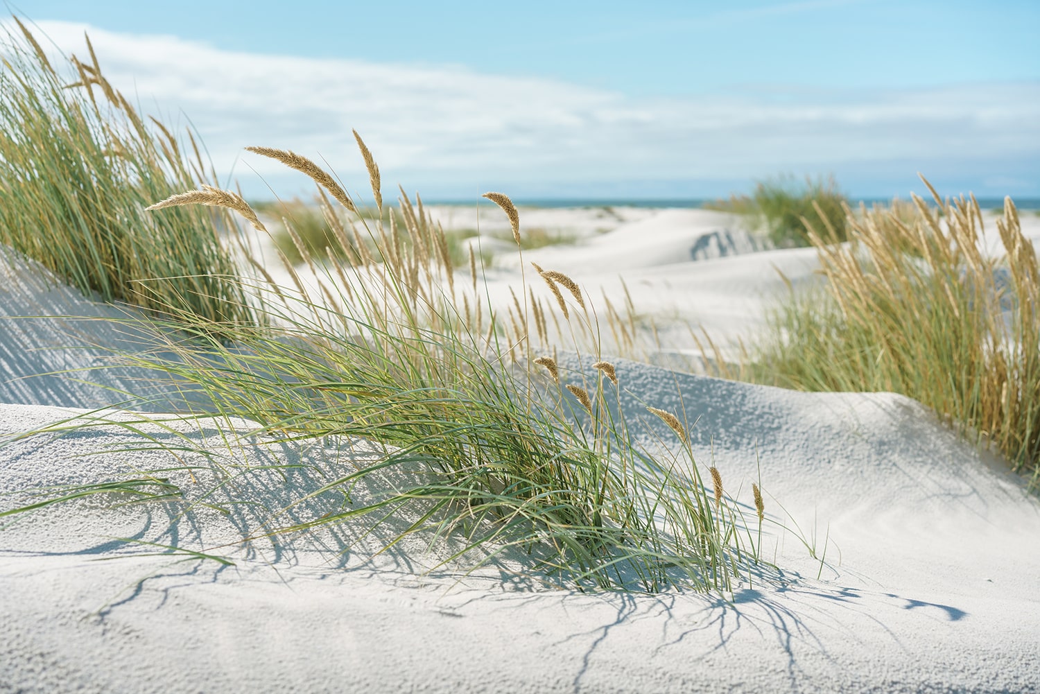 Strand an der Nordsee